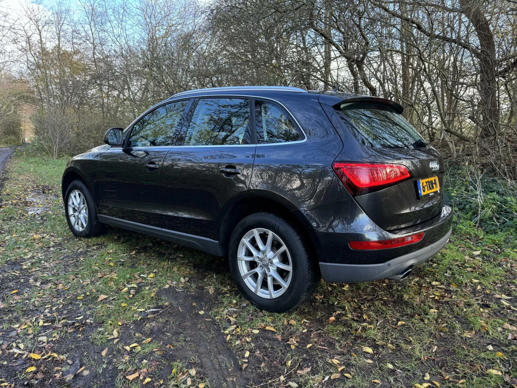 Hoofdafbeelding Audi Q5