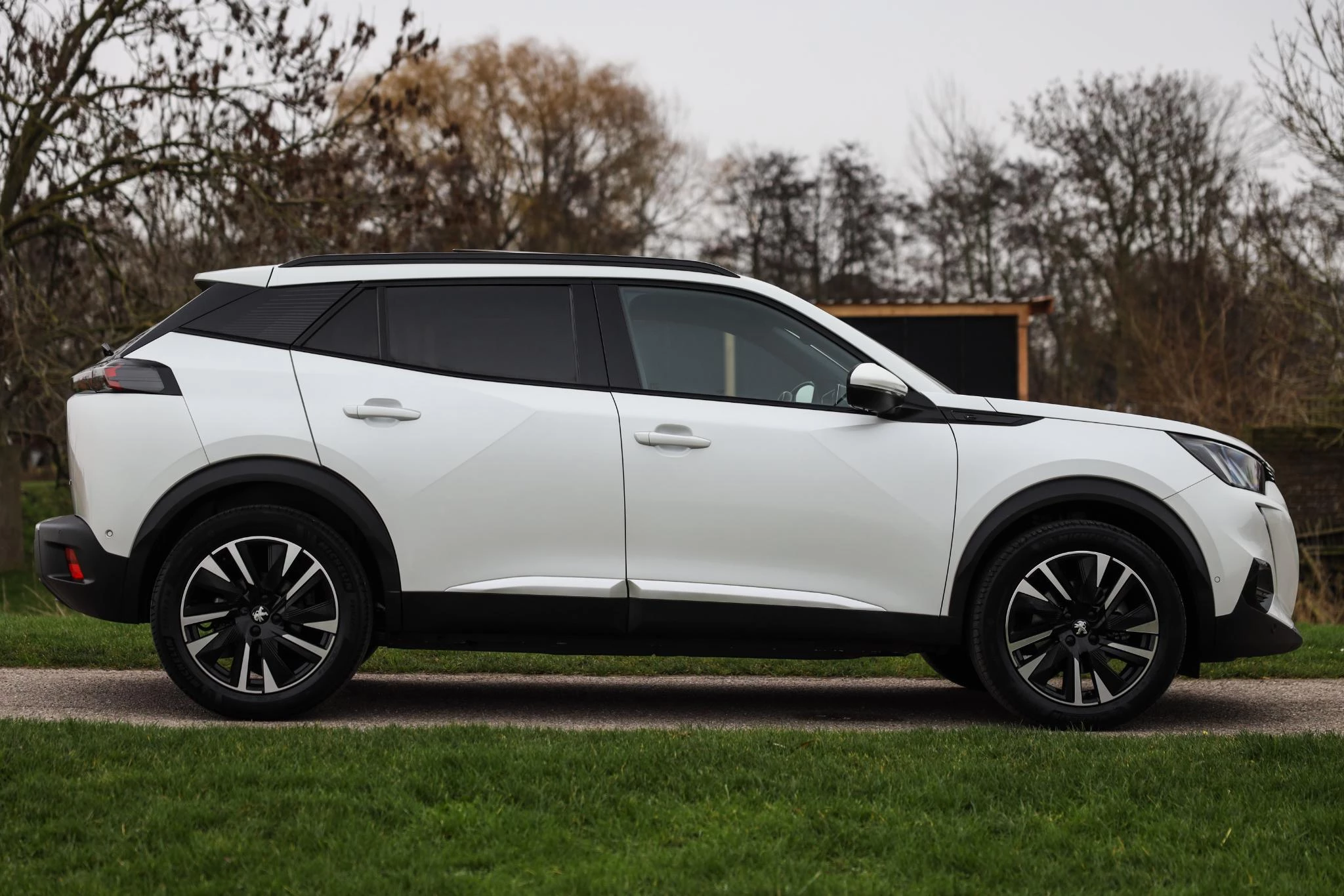 Hoofdafbeelding Peugeot e-2008