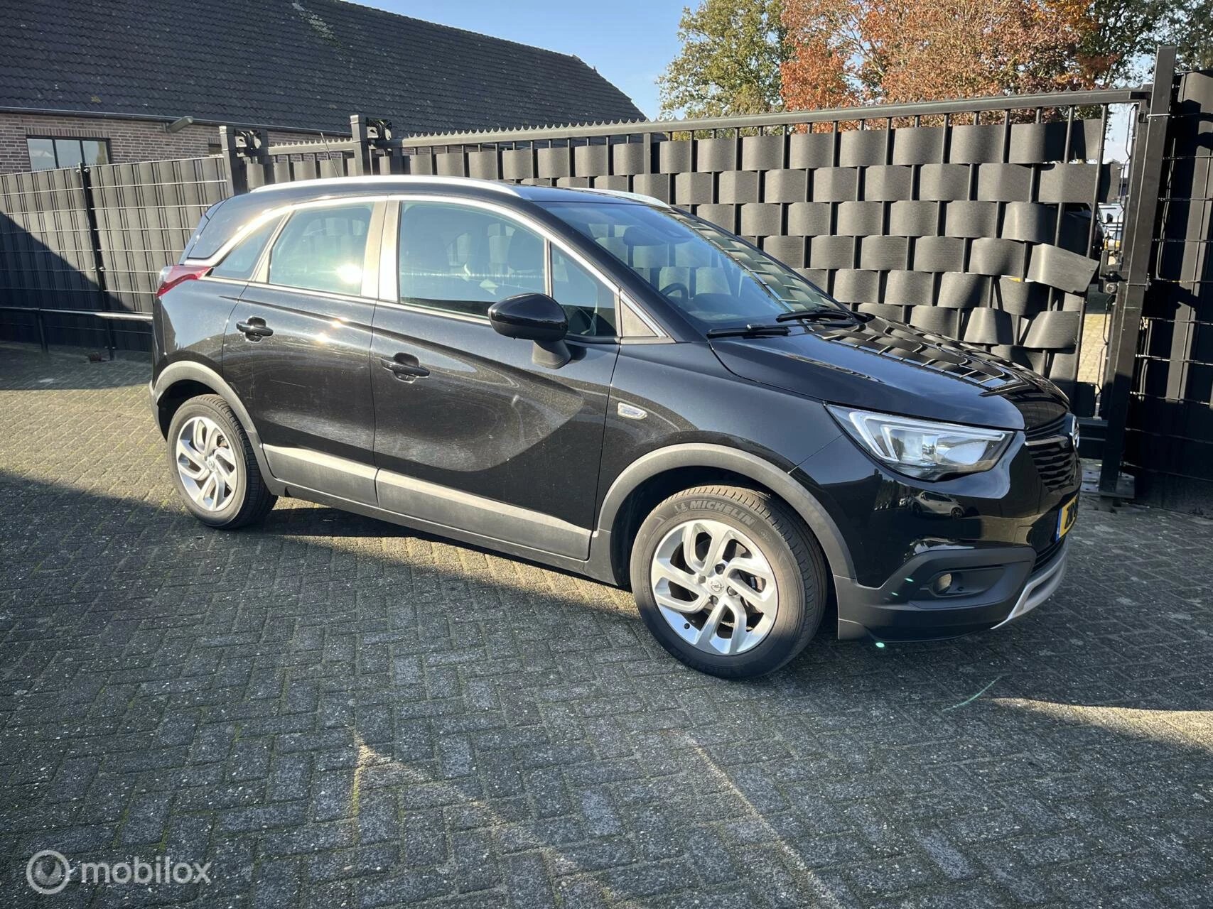 Hoofdafbeelding Opel Crossland X