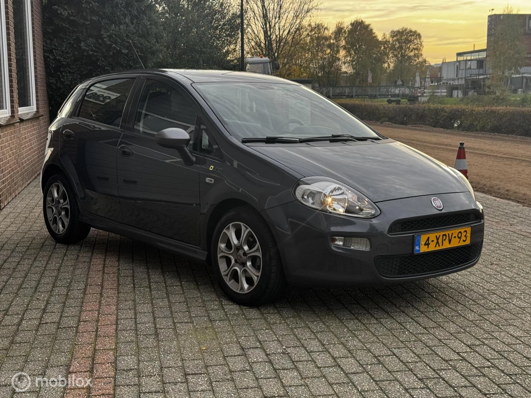 Hoofdafbeelding Fiat Punto