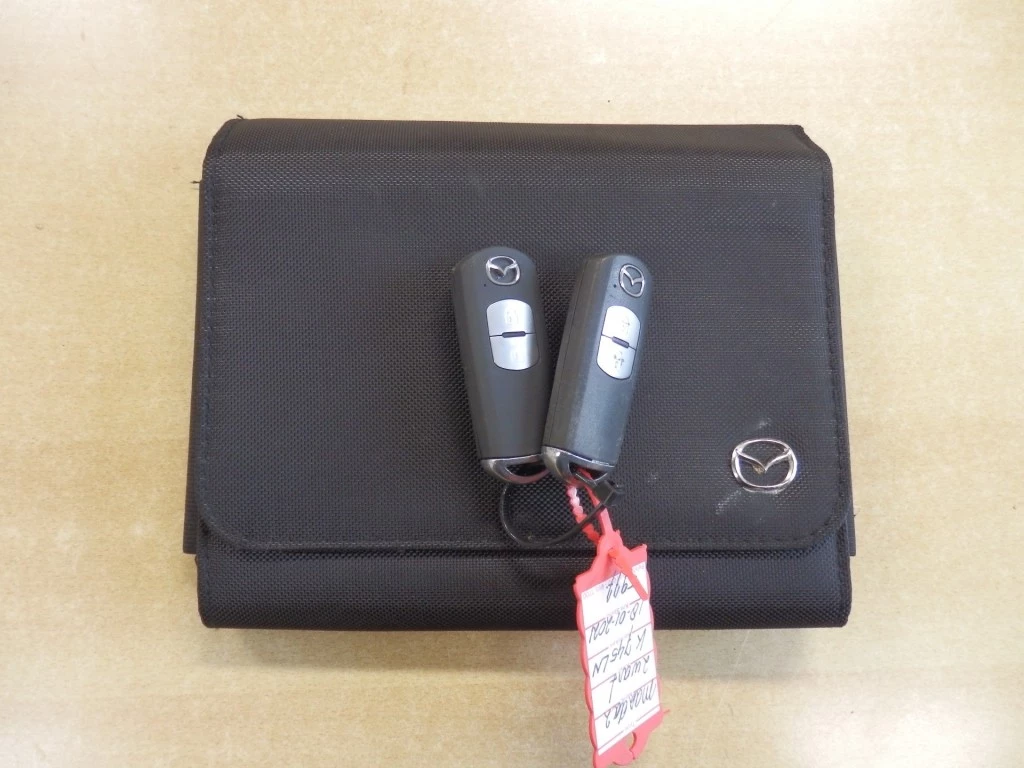 Hoofdafbeelding Mazda 2