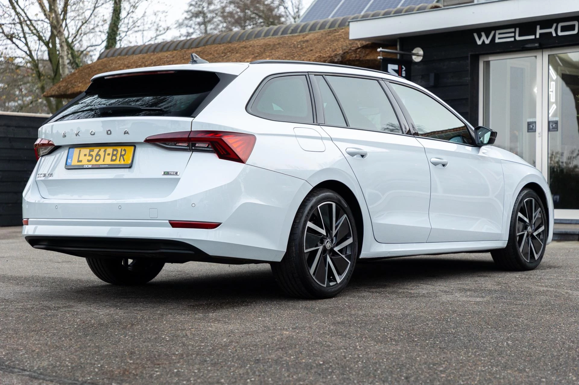 Hoofdafbeelding Škoda Octavia