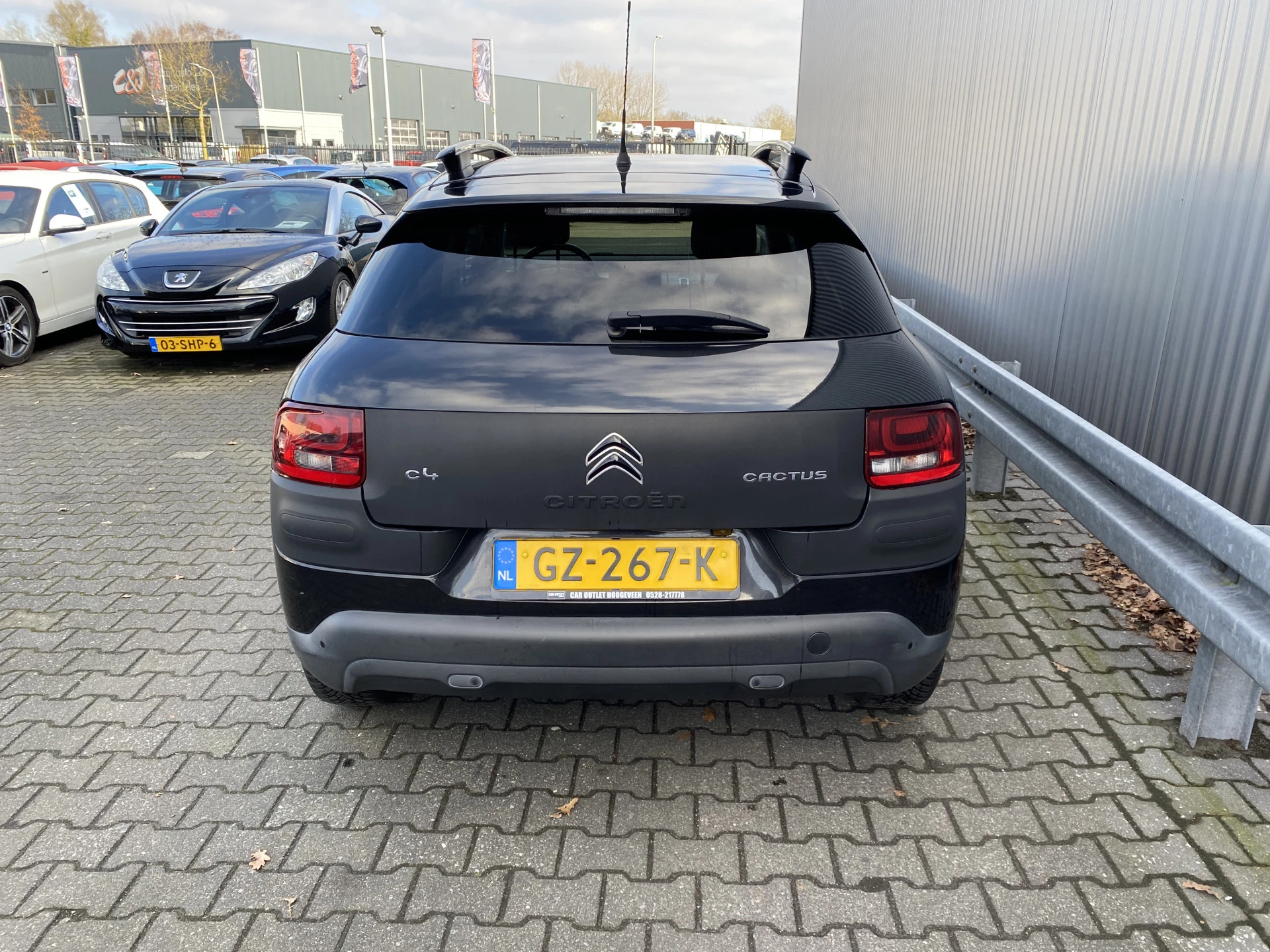 Hoofdafbeelding Citroën C4 Cactus