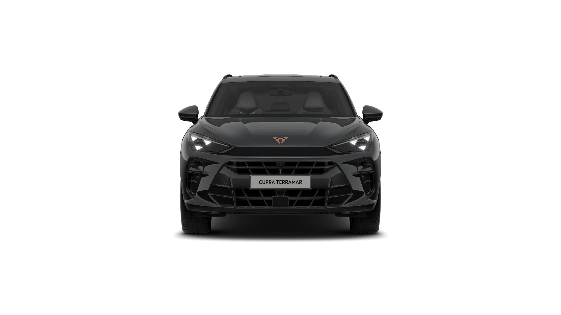 Hoofdafbeelding CUPRA Terramar