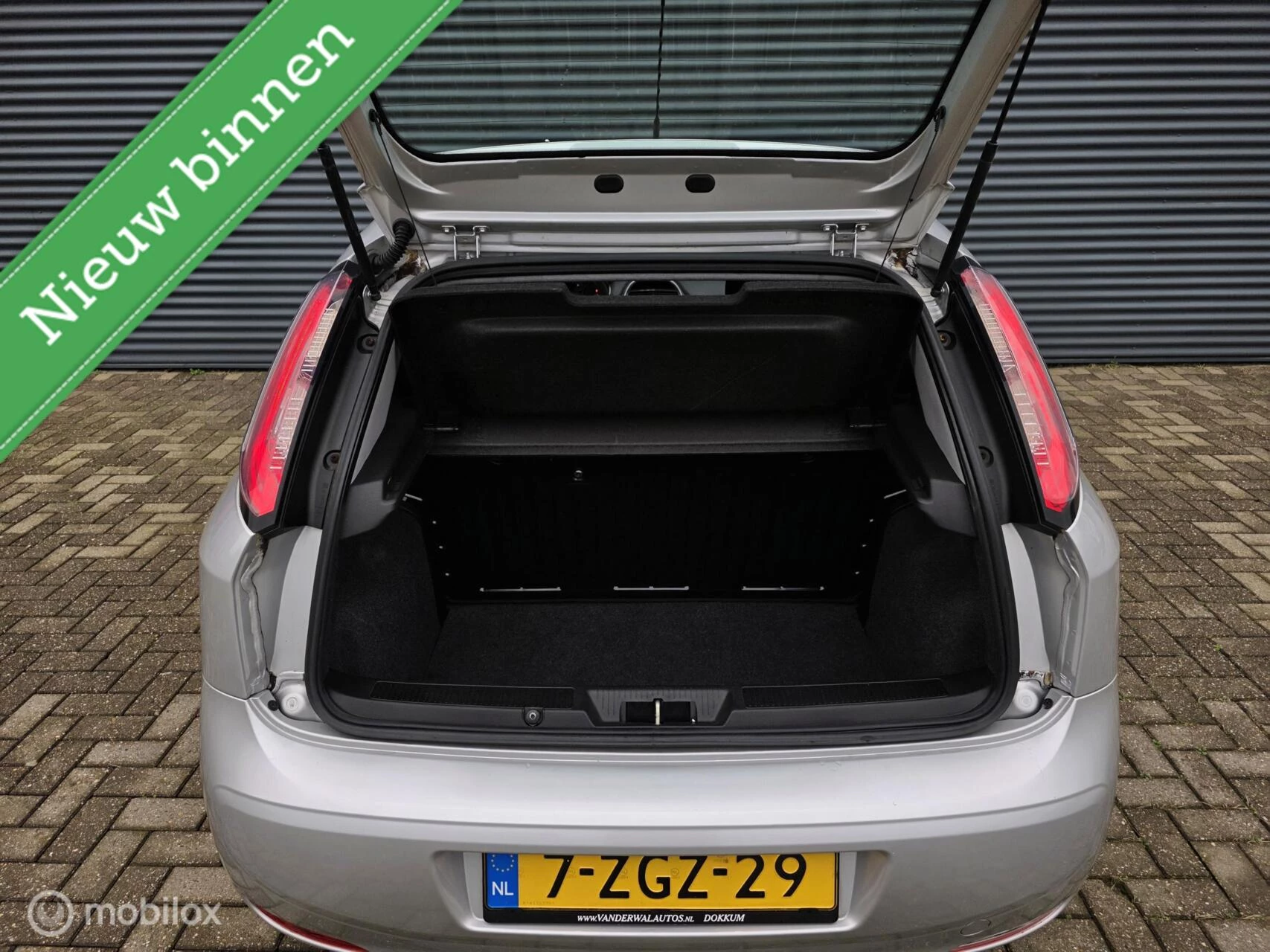 Hoofdafbeelding Fiat Punto