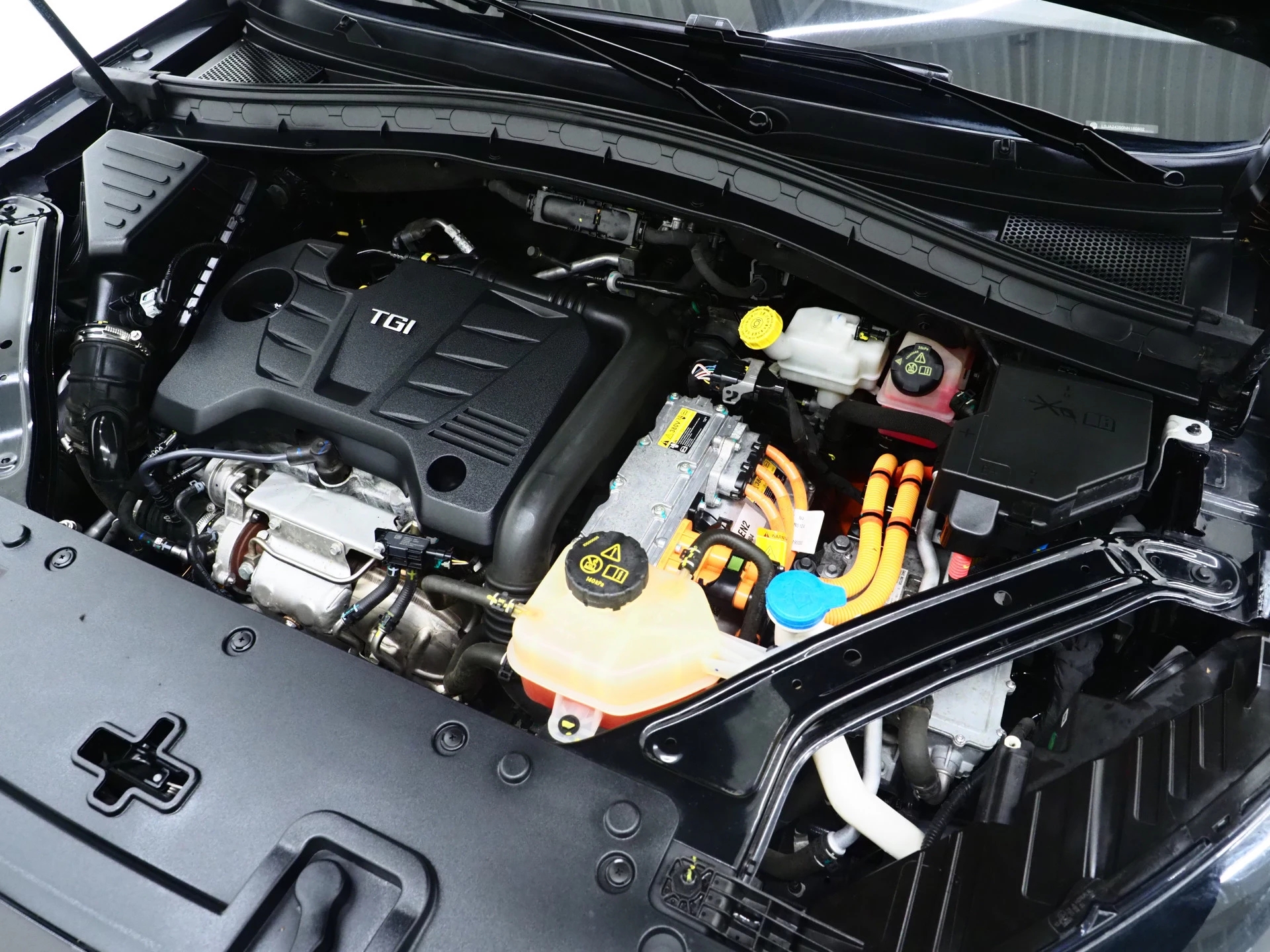 Hoofdafbeelding MG EHS