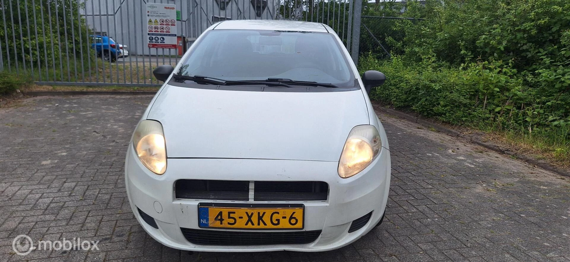 Hoofdafbeelding Fiat Punto