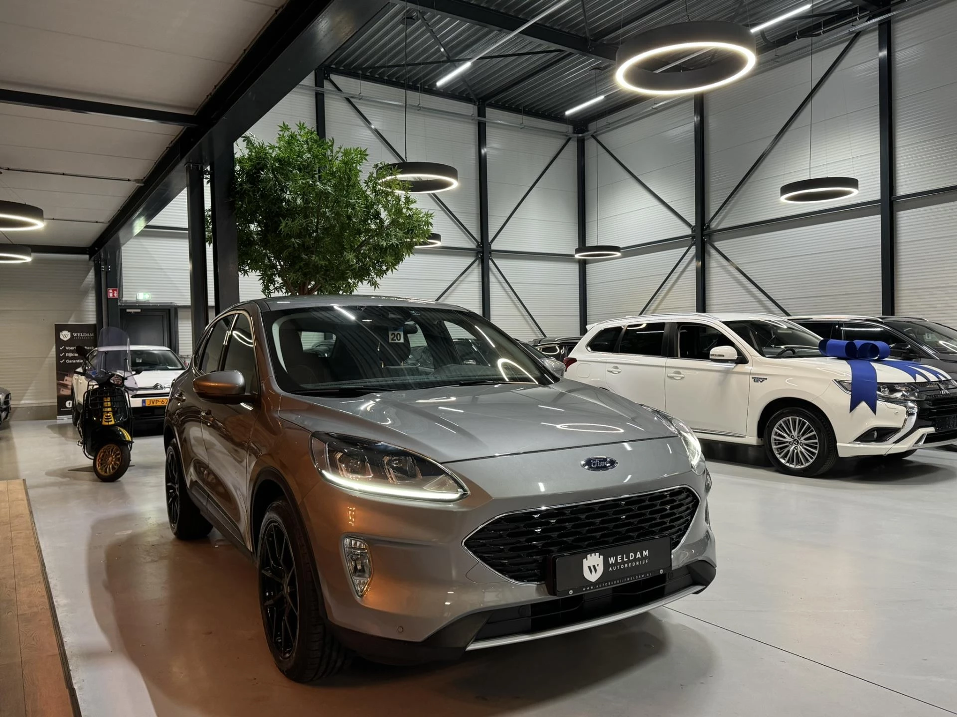 Hoofdafbeelding Ford Kuga