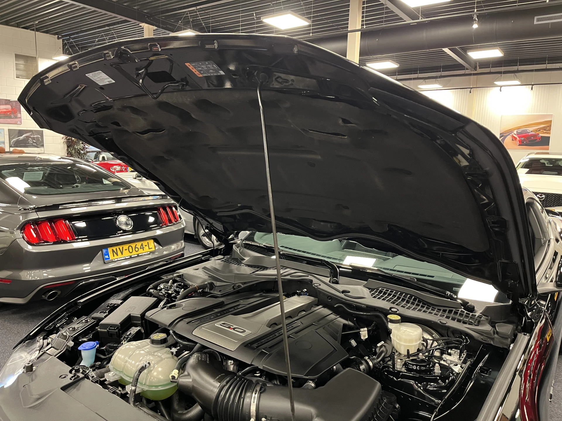 Hoofdafbeelding Ford Mustang