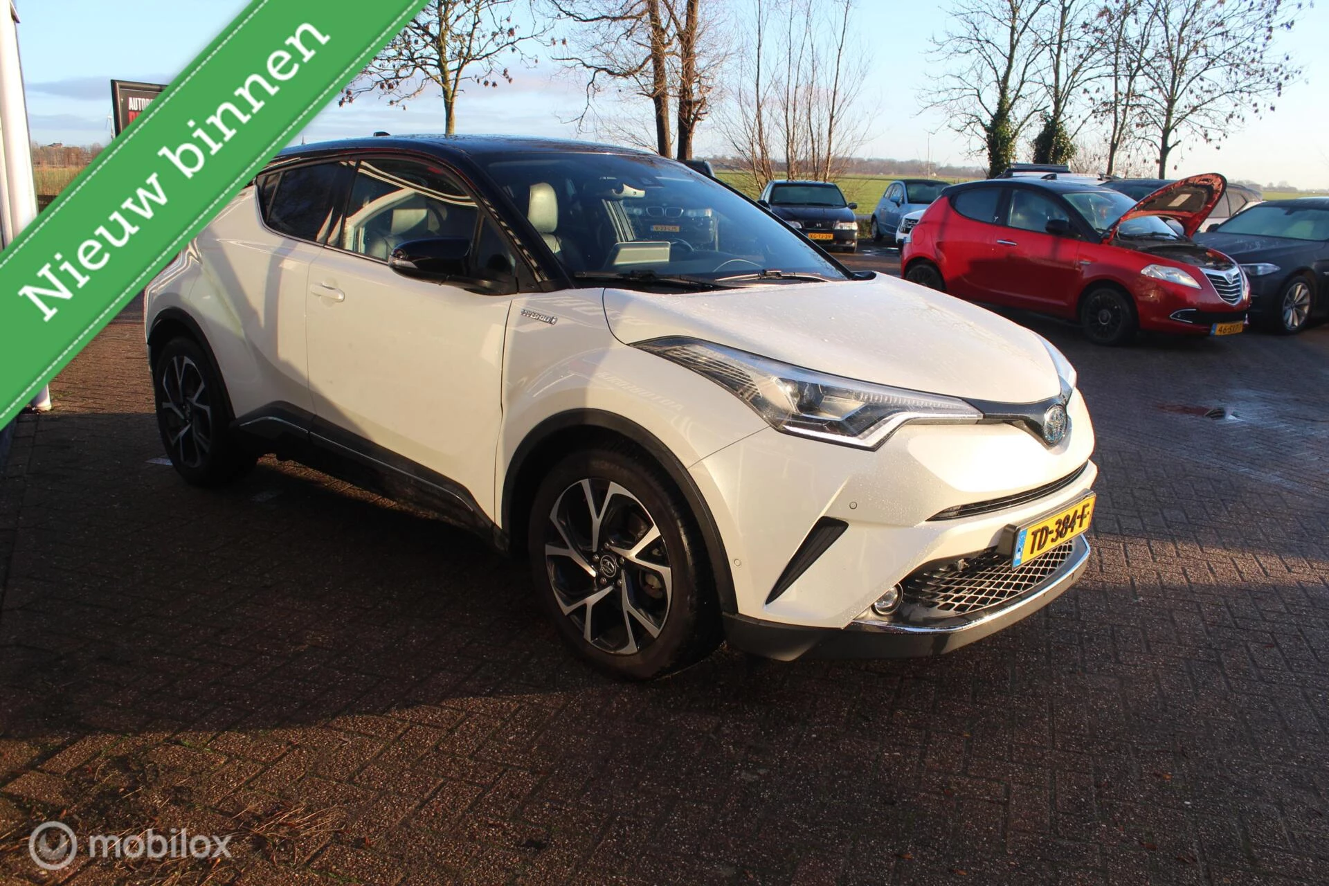 Hoofdafbeelding Toyota C-HR