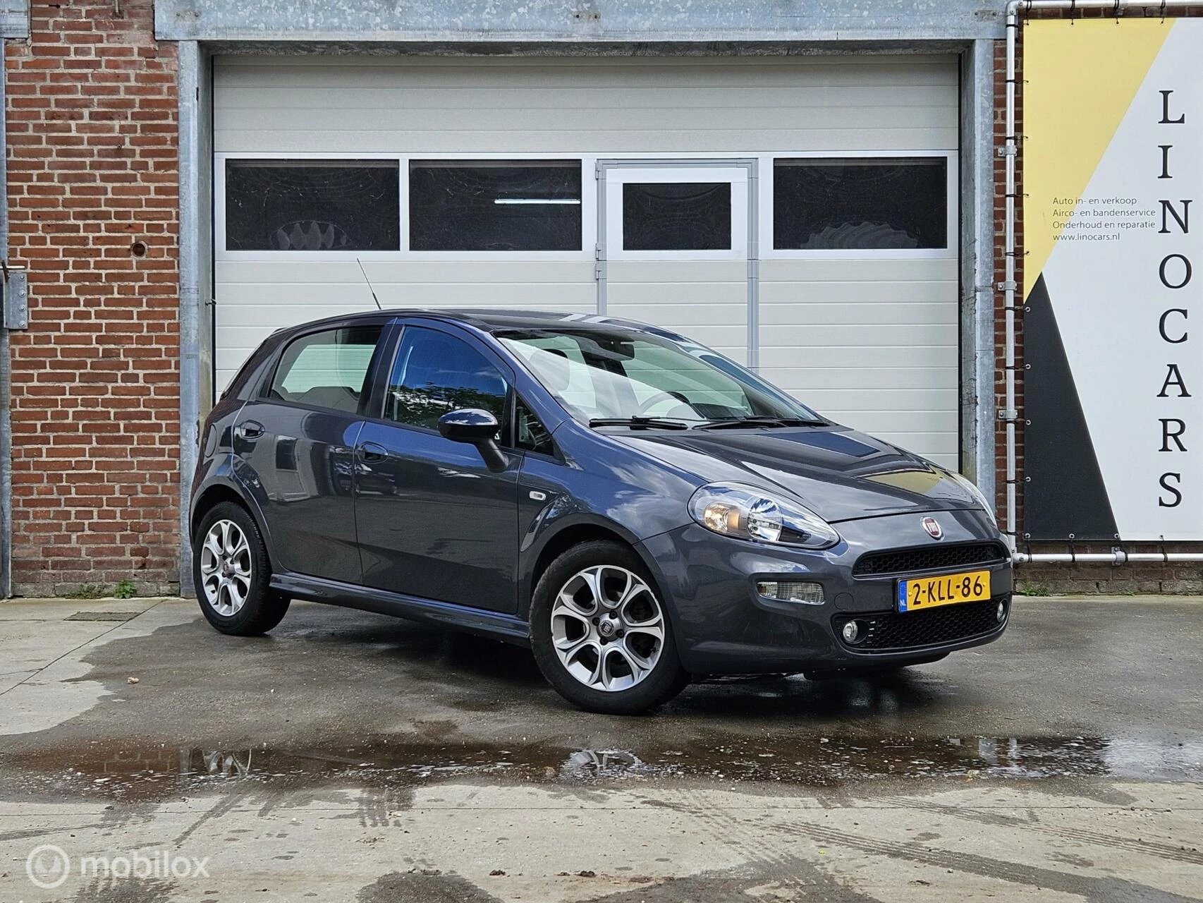 Hoofdafbeelding Fiat Punto