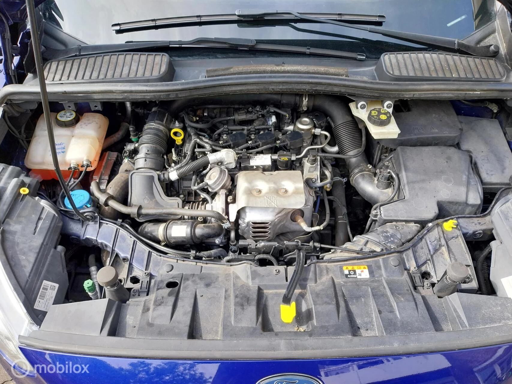 Hoofdafbeelding Ford C-MAX