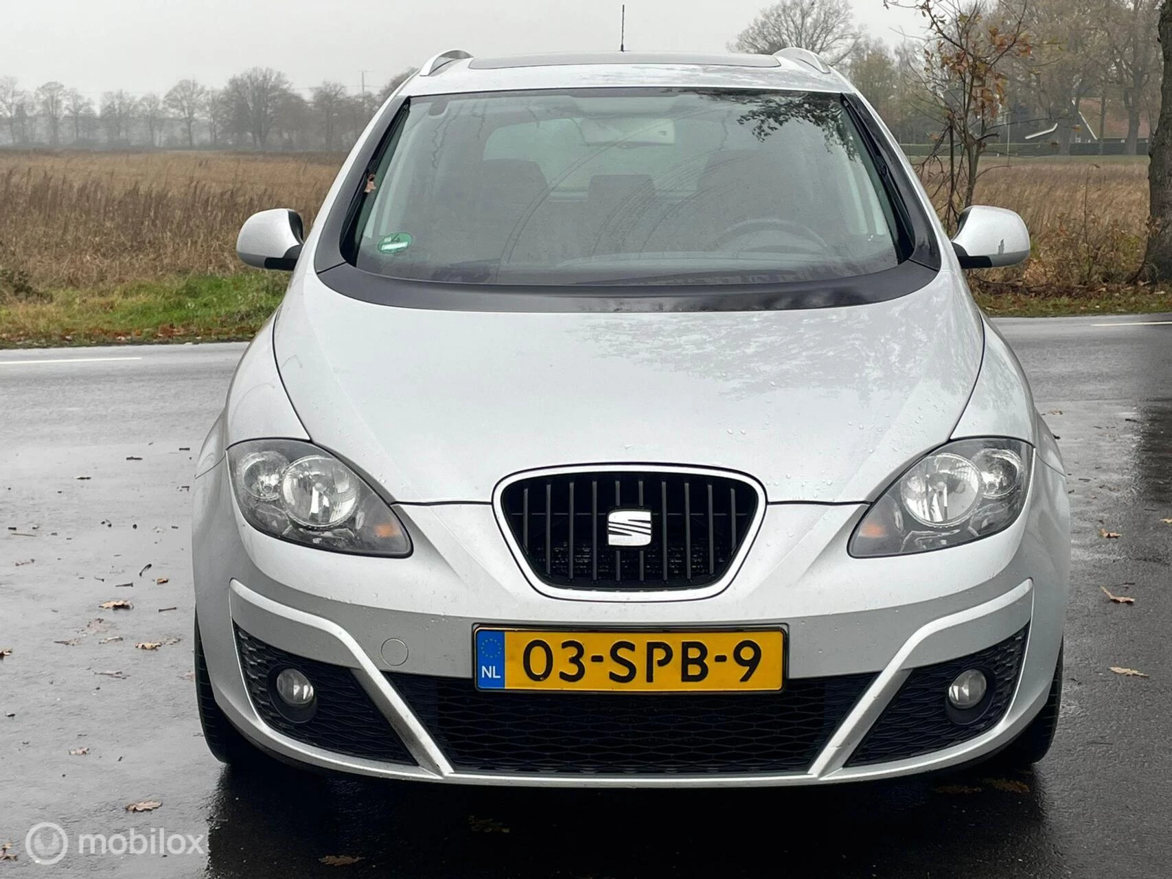 Hoofdafbeelding SEAT Altea XL