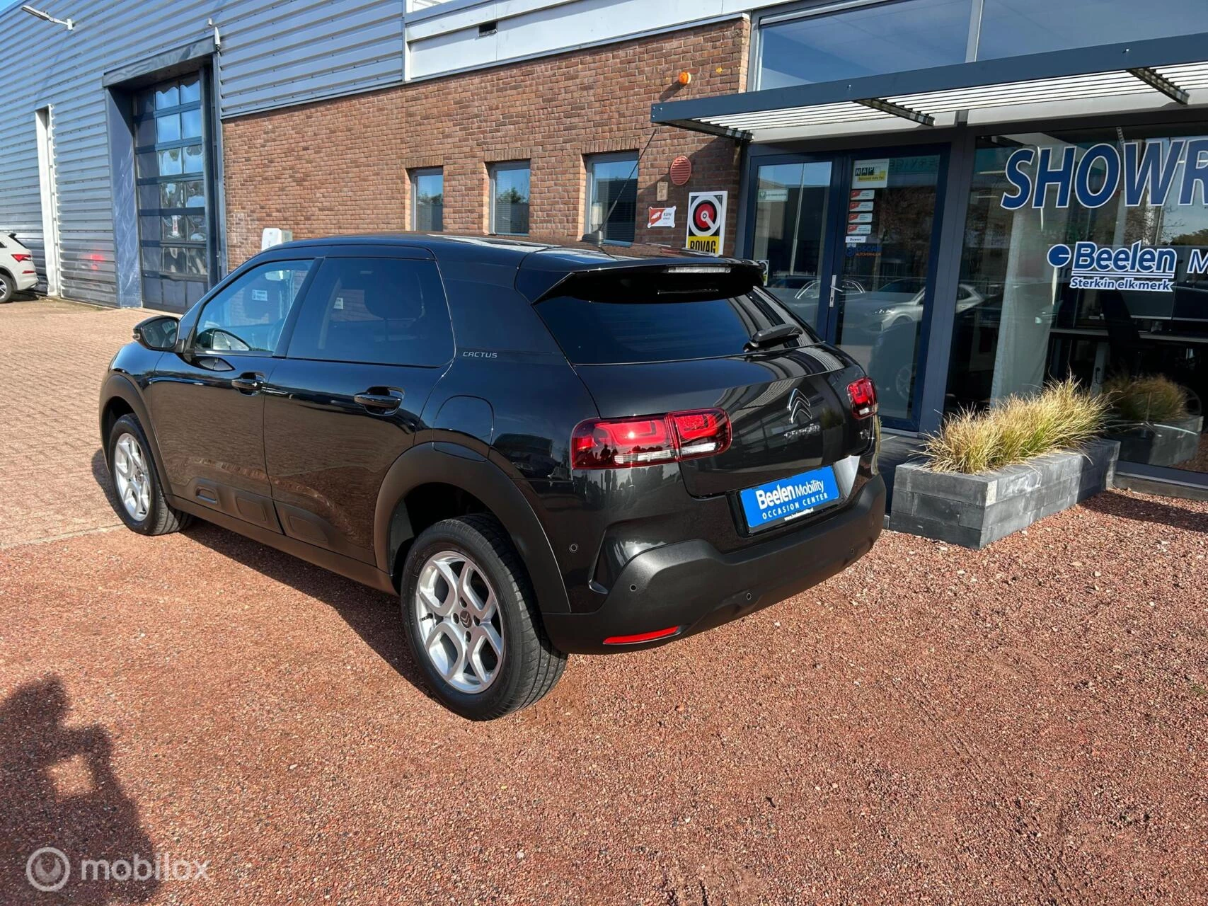 Hoofdafbeelding Citroën C4 Cactus