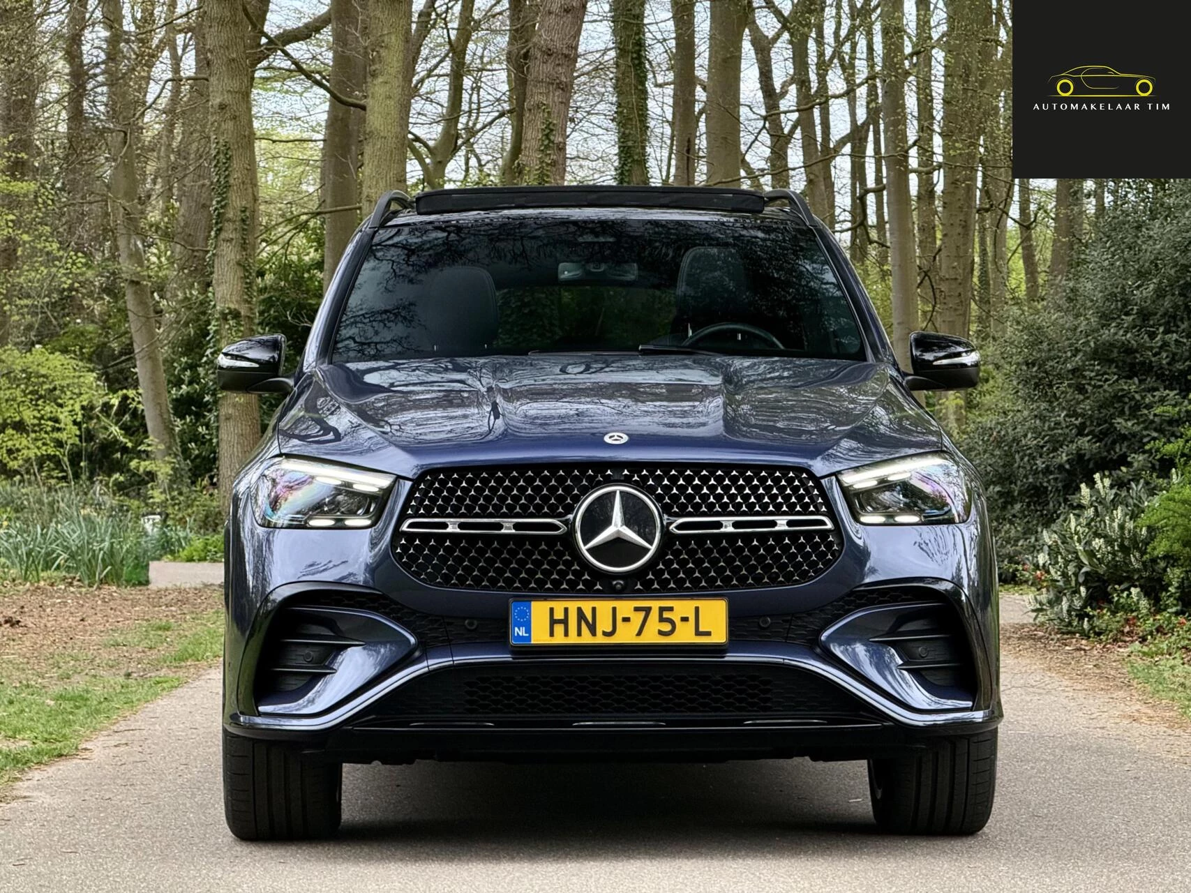 Hoofdafbeelding Mercedes-Benz GLE