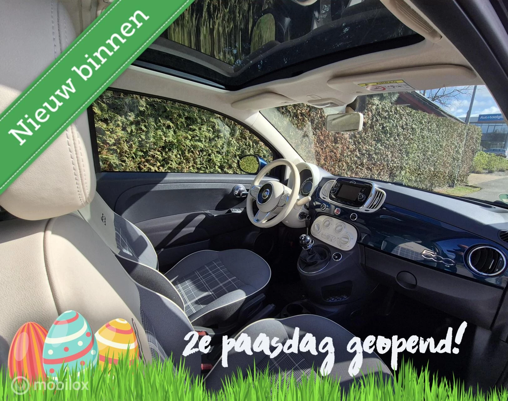 Hoofdafbeelding Fiat 500