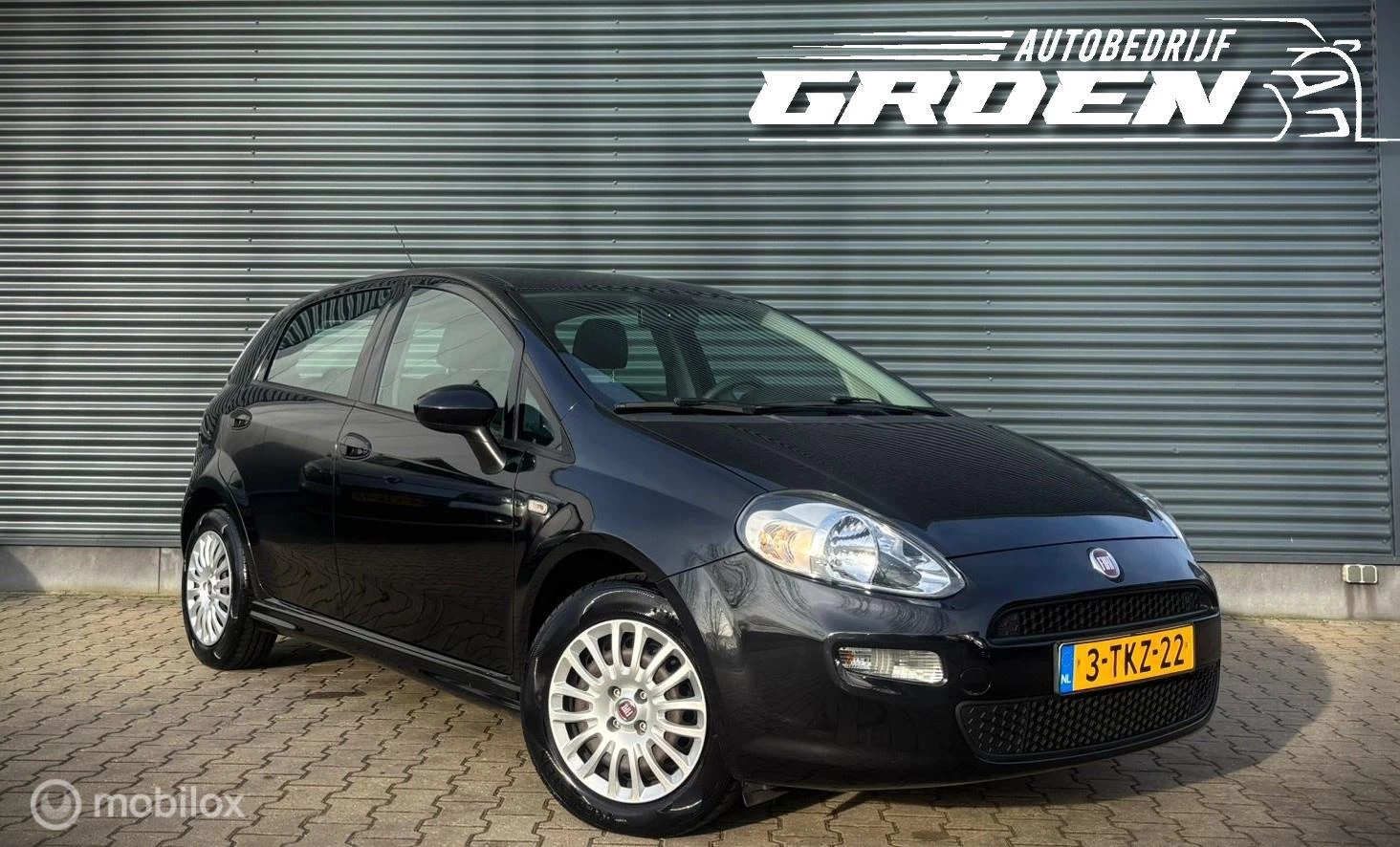 Hoofdafbeelding Fiat Punto