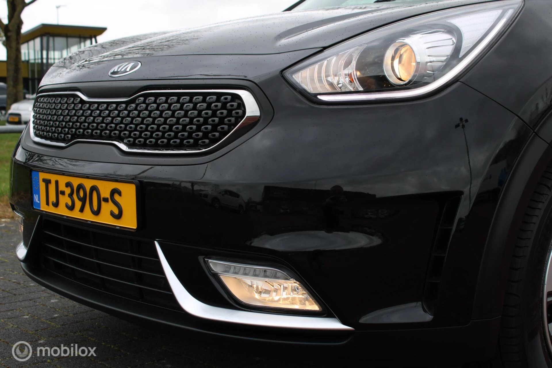 Hoofdafbeelding Kia Niro