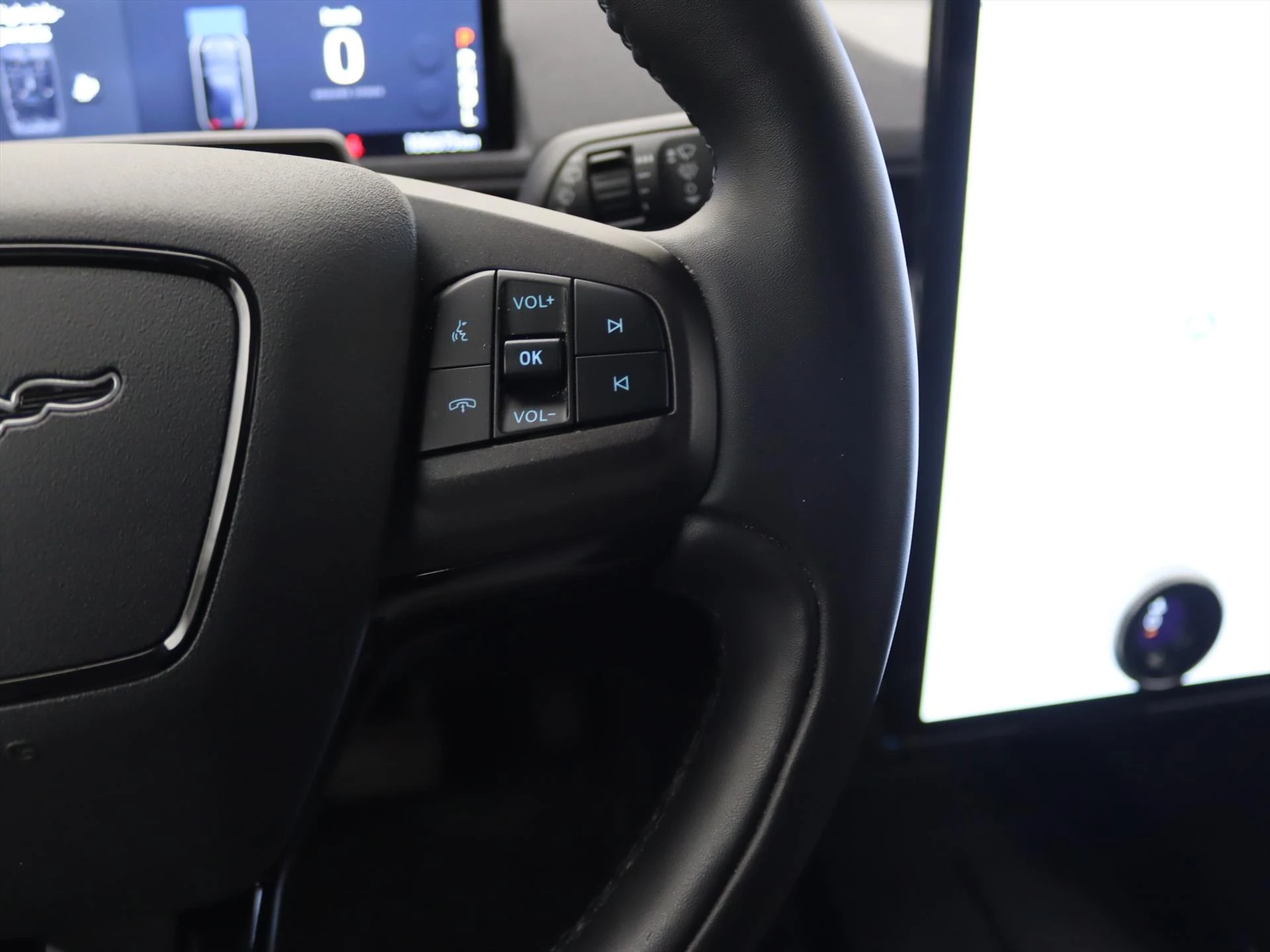 Hoofdafbeelding Ford Mustang Mach-E