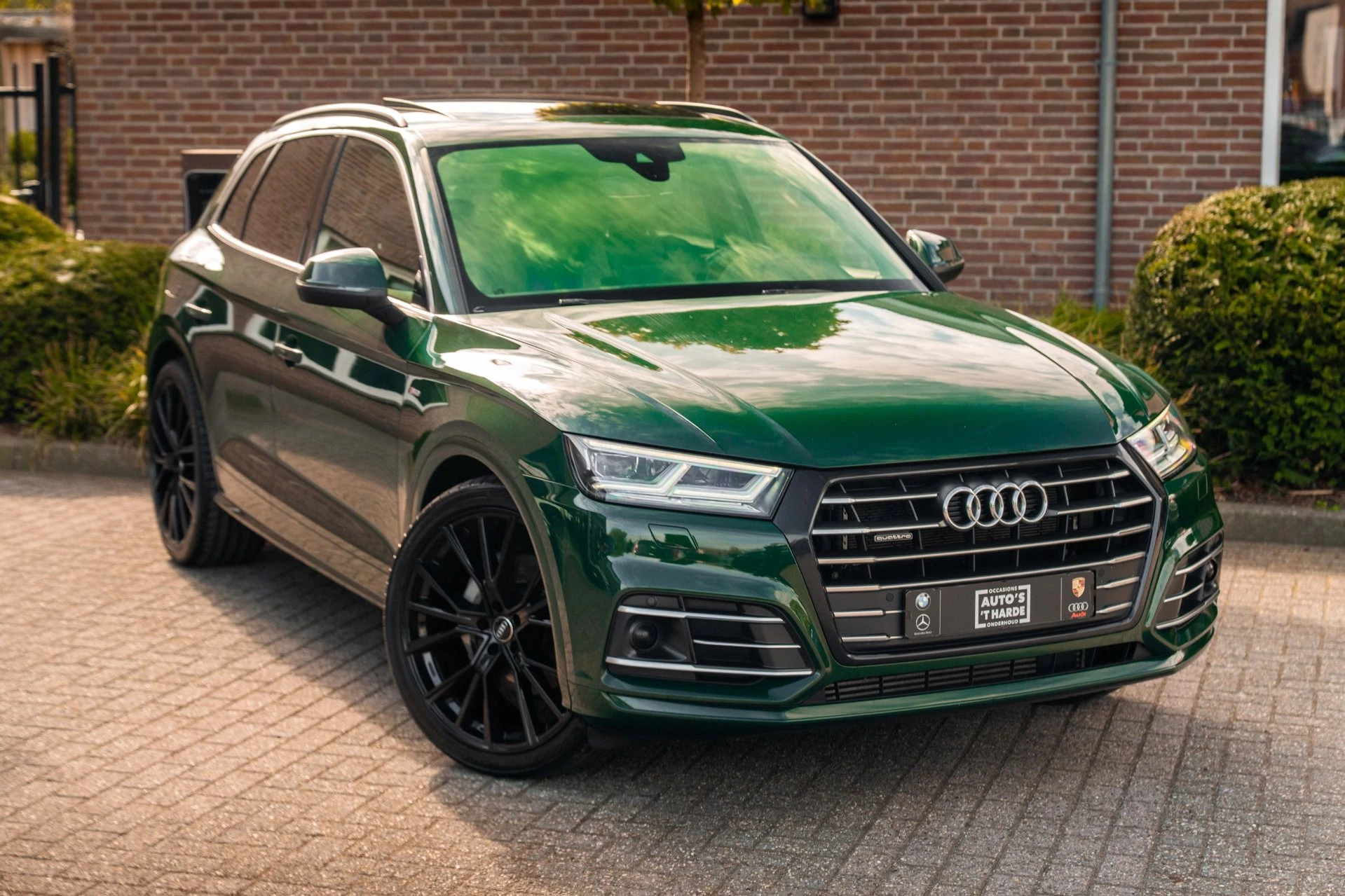 Hoofdafbeelding Audi Q5