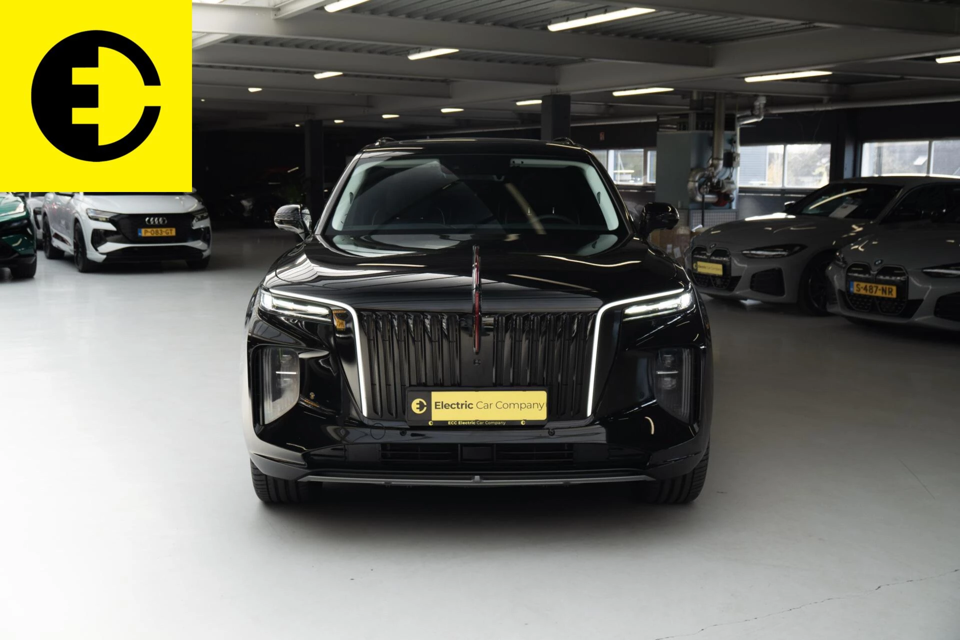 Hoofdafbeelding Hongqi E-HS9