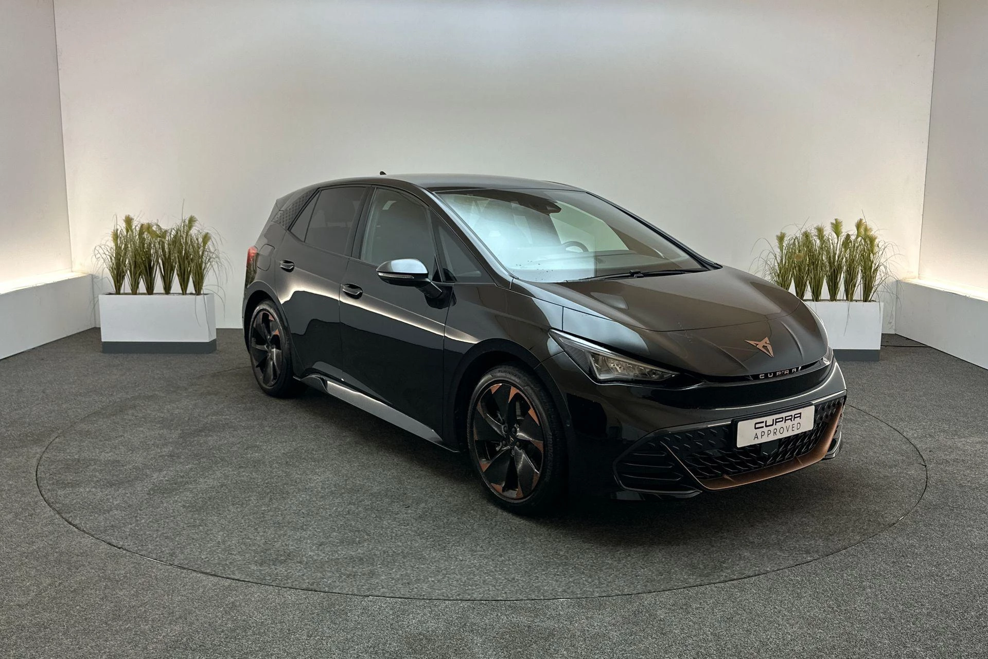 Hoofdafbeelding CUPRA Born