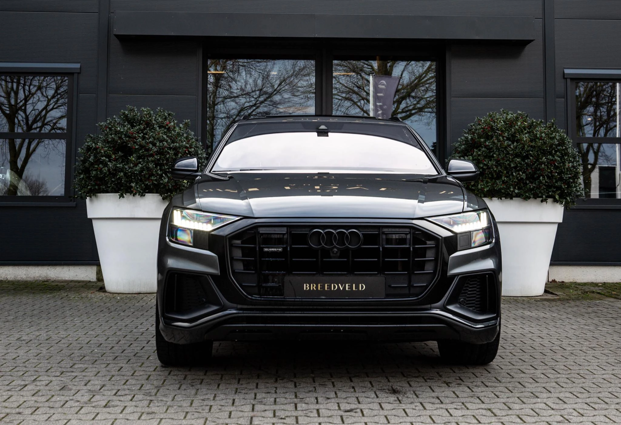 Hoofdafbeelding Audi Q8