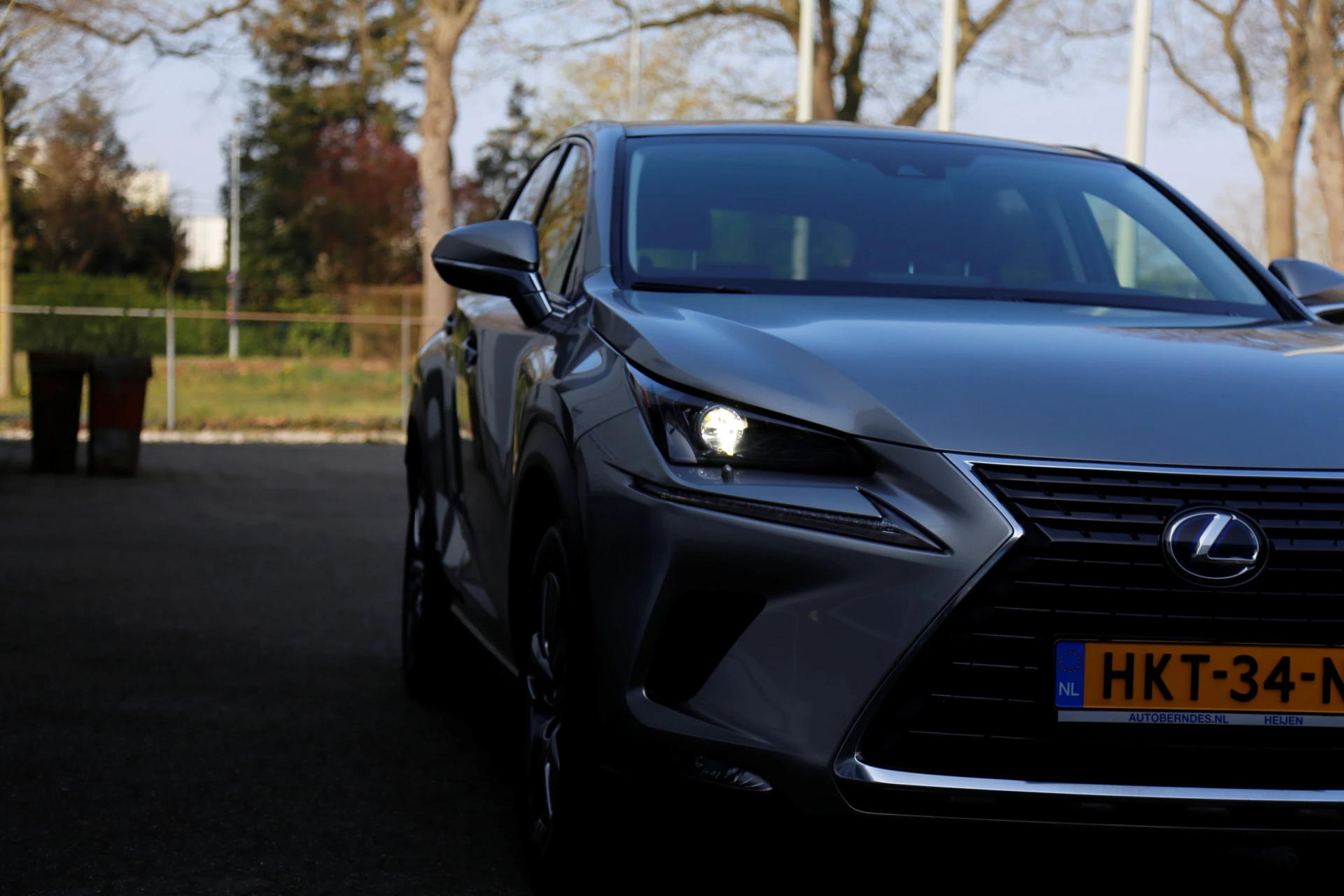 Hoofdafbeelding Lexus NX