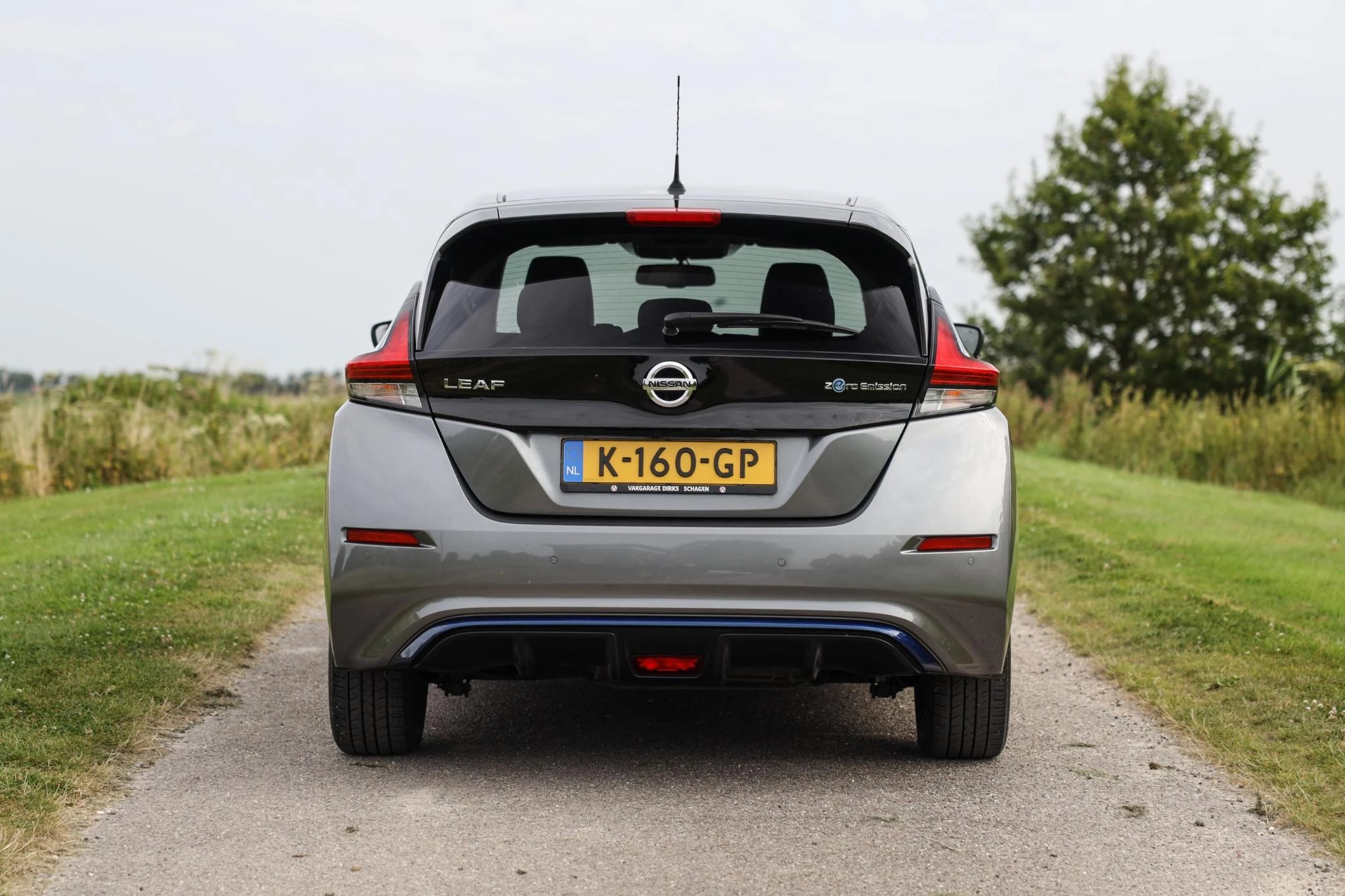 Hoofdafbeelding Nissan Leaf