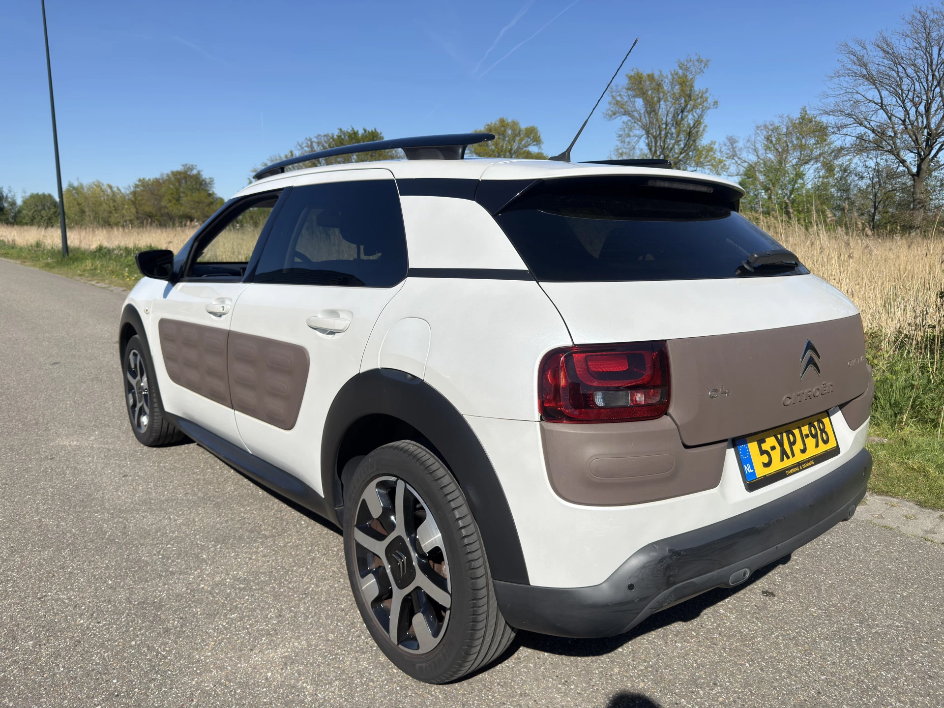 Hoofdafbeelding Citroën C4 Cactus