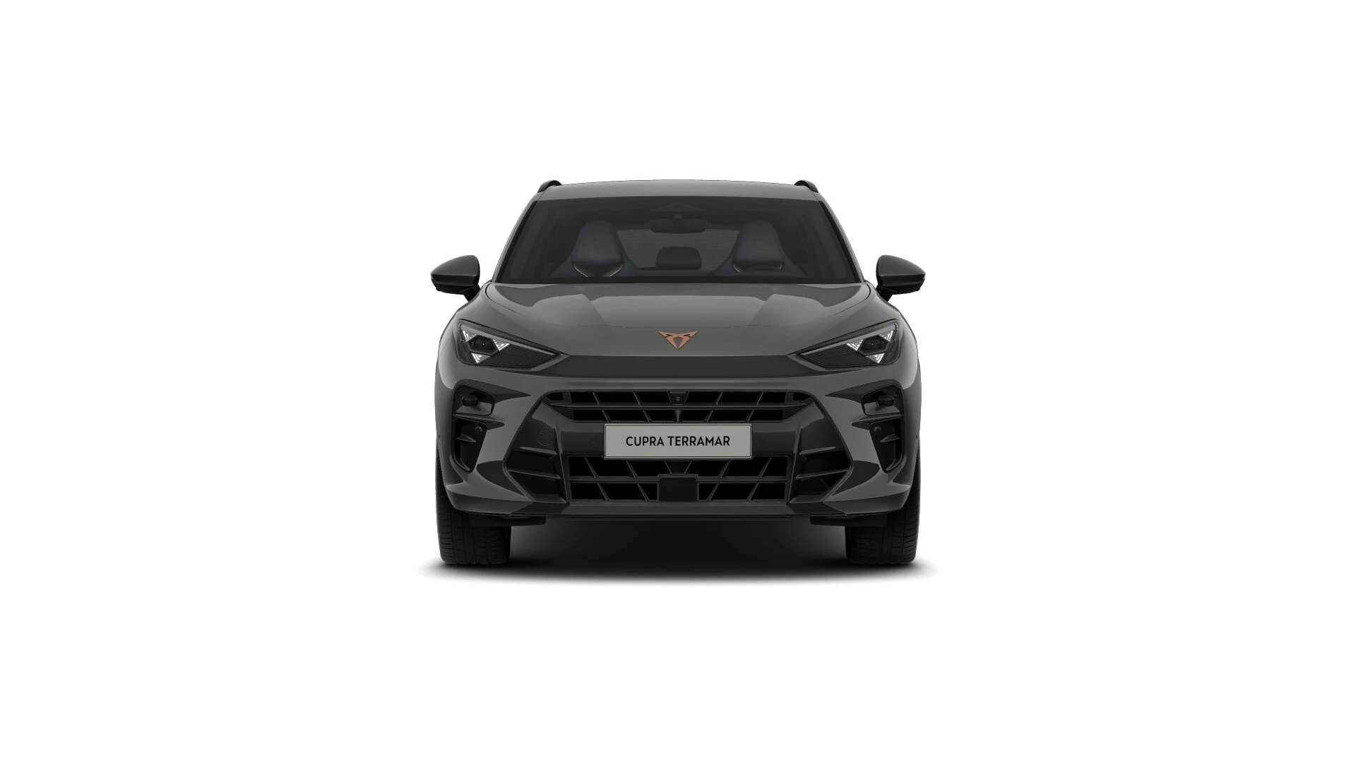 Hoofdafbeelding CUPRA Terramar