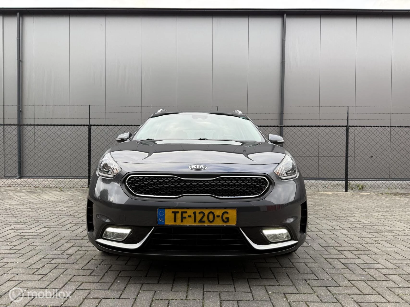 Hoofdafbeelding Kia Niro