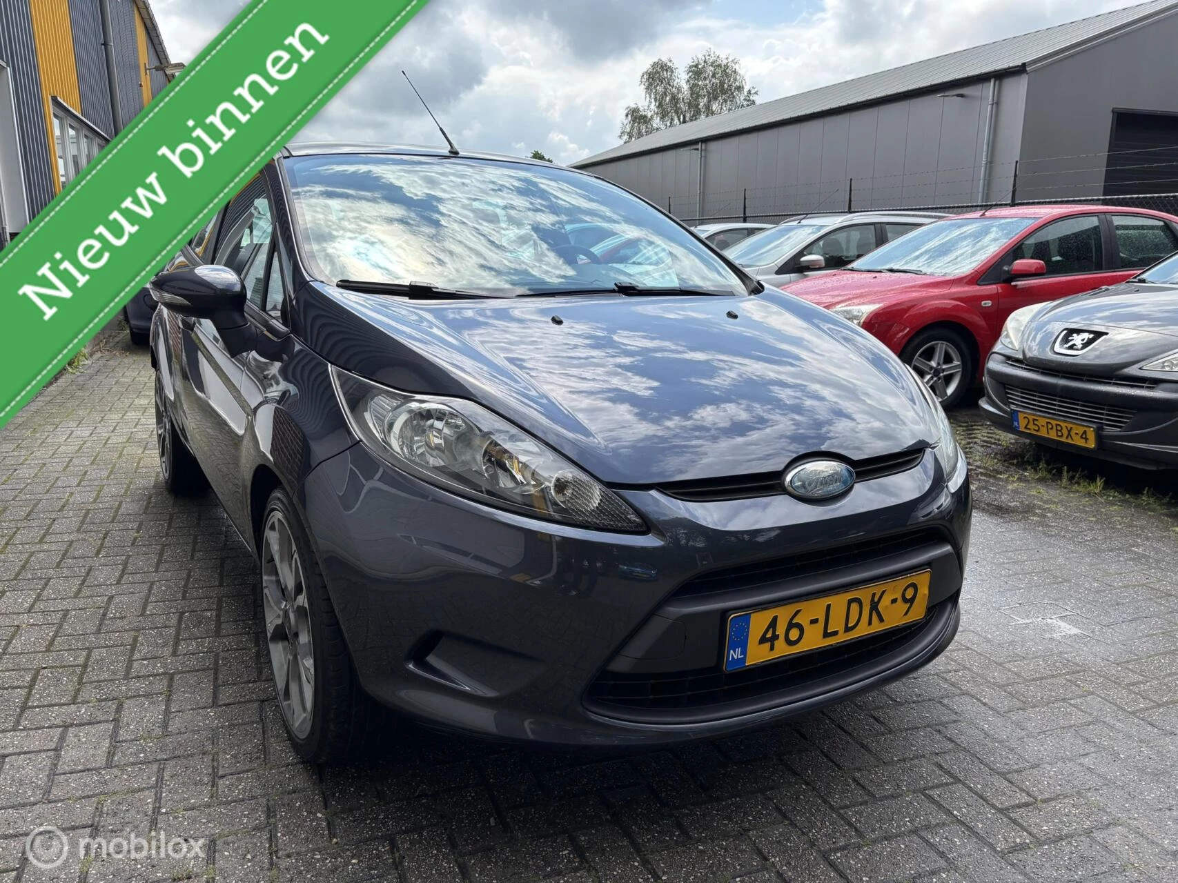 Hoofdafbeelding Ford Fiesta