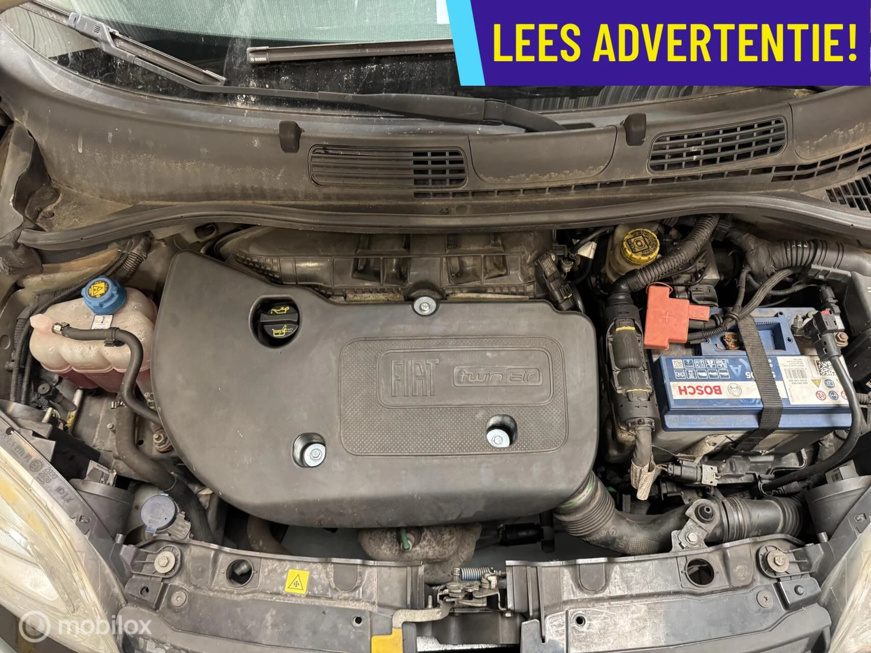 Hoofdafbeelding Fiat Panda