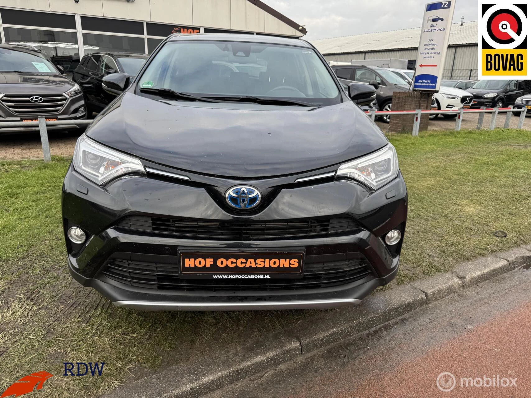 Hoofdafbeelding Toyota RAV4