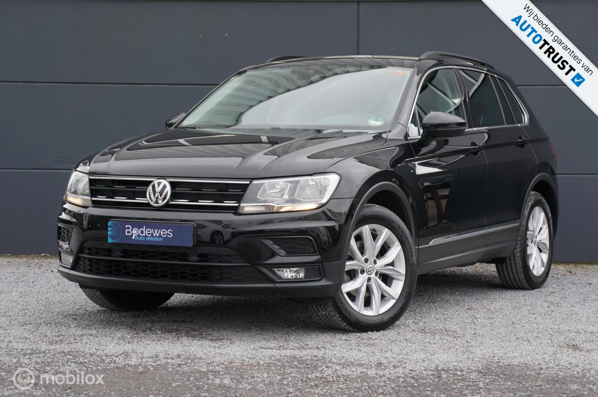 Hoofdafbeelding Volkswagen Tiguan