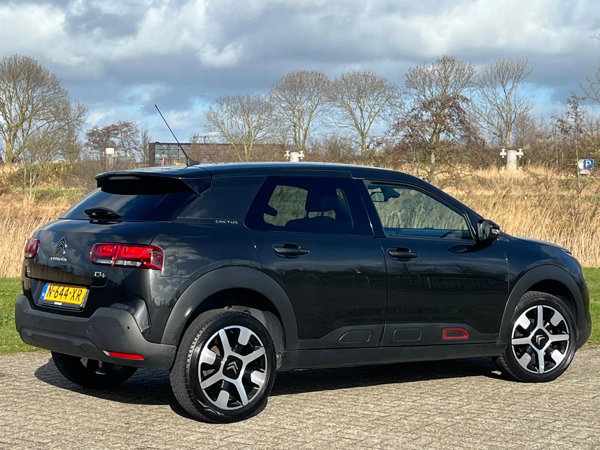 Hoofdafbeelding Citroën C4 Cactus