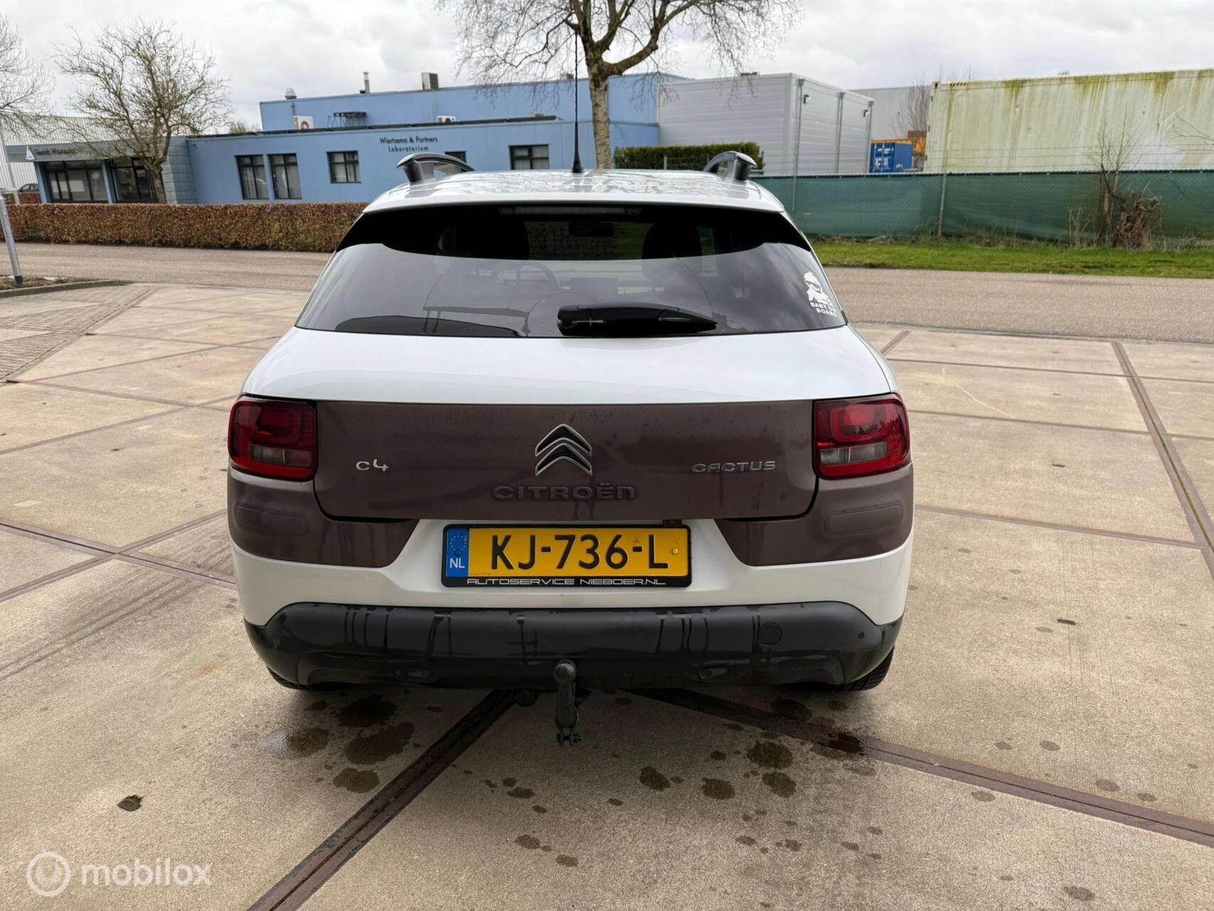 Hoofdafbeelding Citroën C4 Cactus