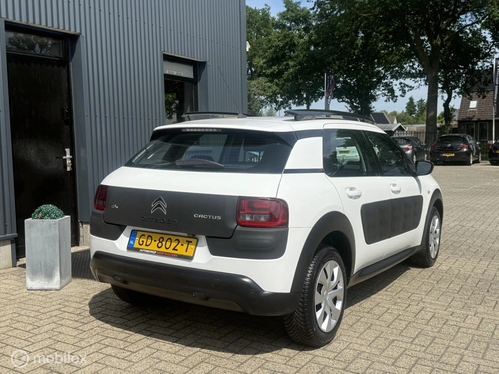 Hoofdafbeelding Citroën C4 Cactus