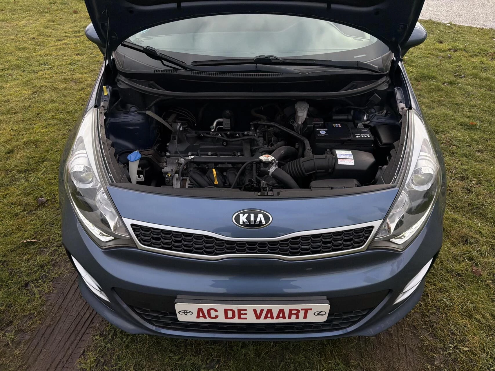 Hoofdafbeelding Kia Rio