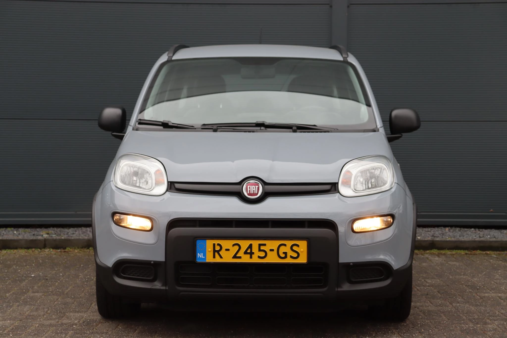 Hoofdafbeelding Fiat Panda