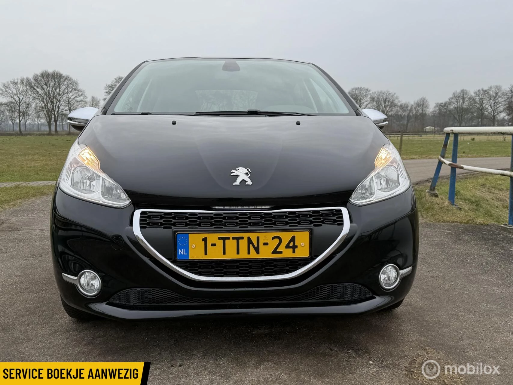 Hoofdafbeelding Peugeot 208
