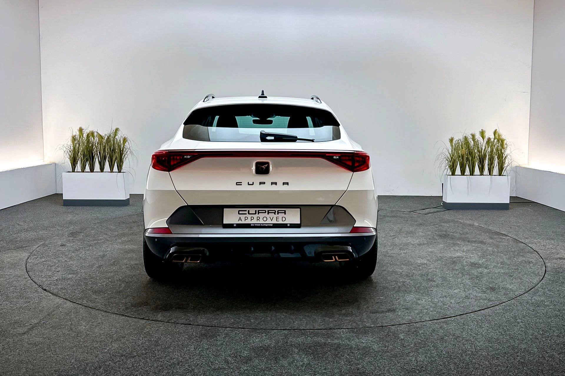 Hoofdafbeelding CUPRA Formentor