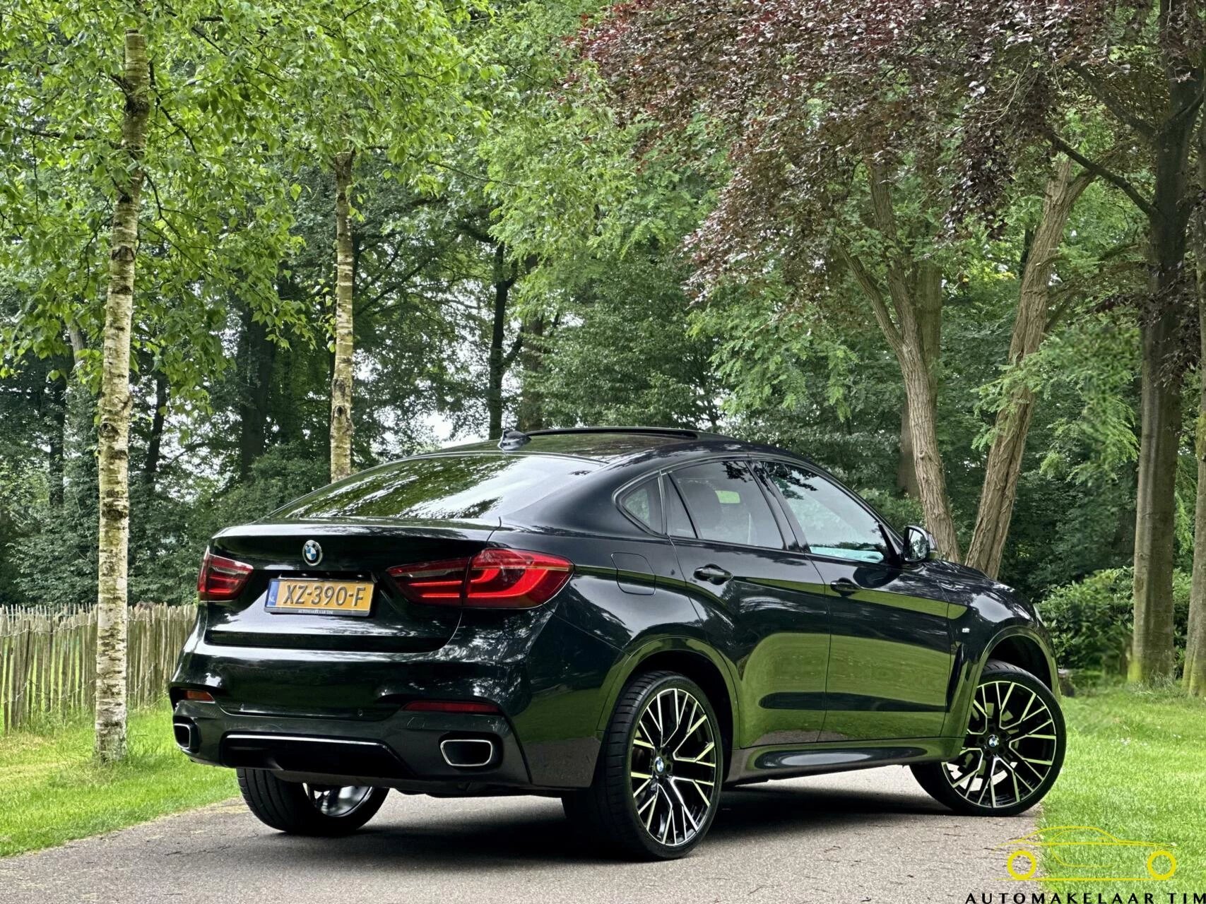 Hoofdafbeelding BMW X6