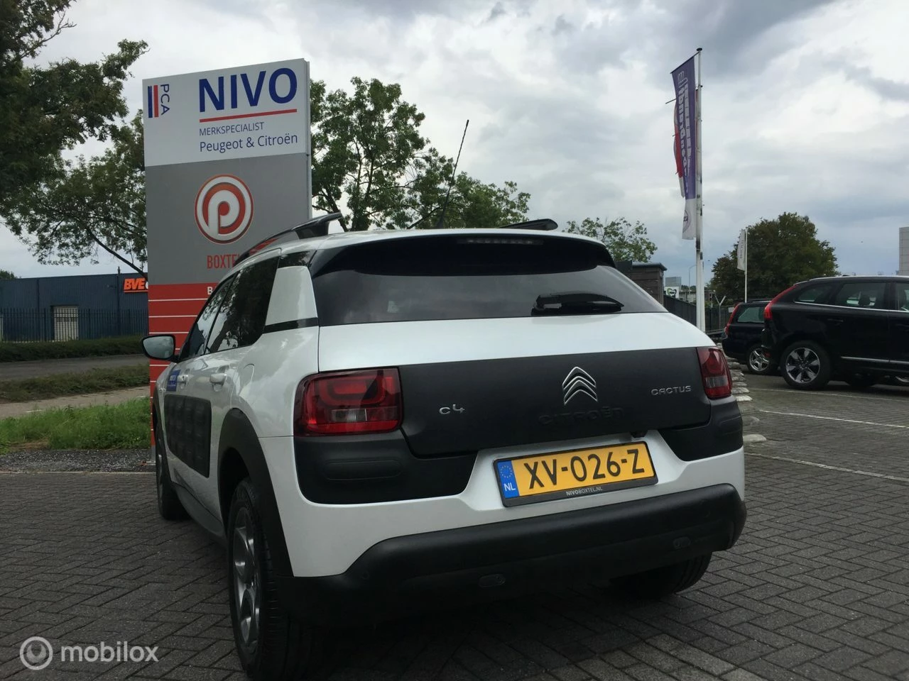 Hoofdafbeelding Citroën C4 Cactus