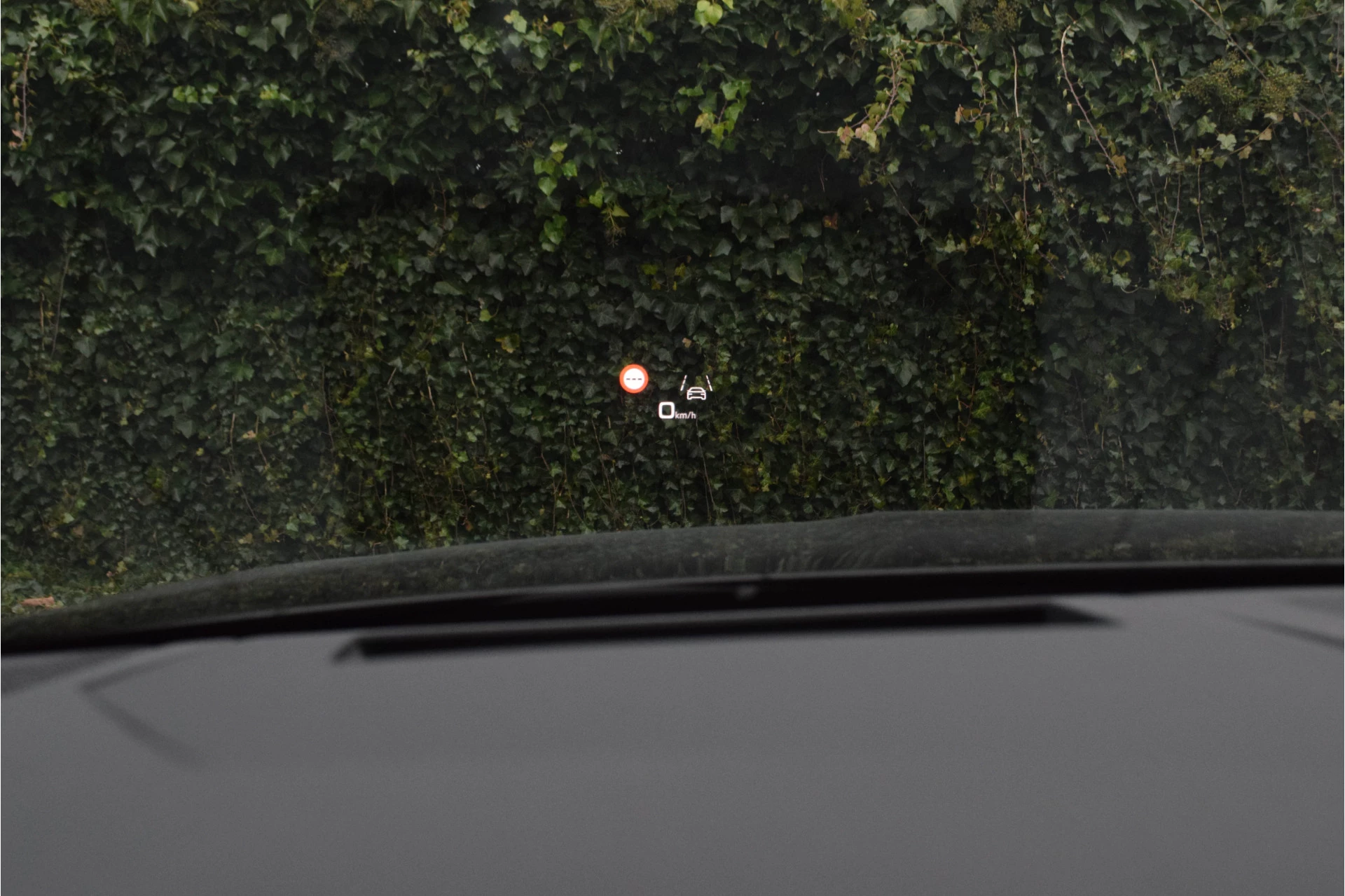 Hoofdafbeelding Audi SQ8