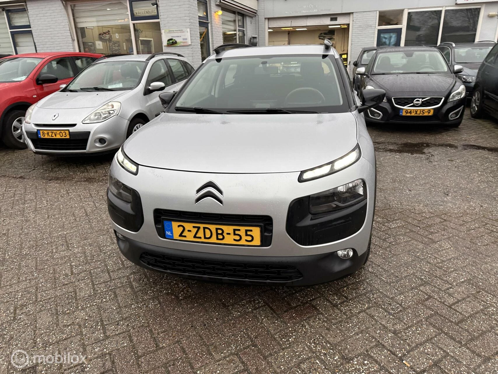 Hoofdafbeelding Citroën C4 Cactus