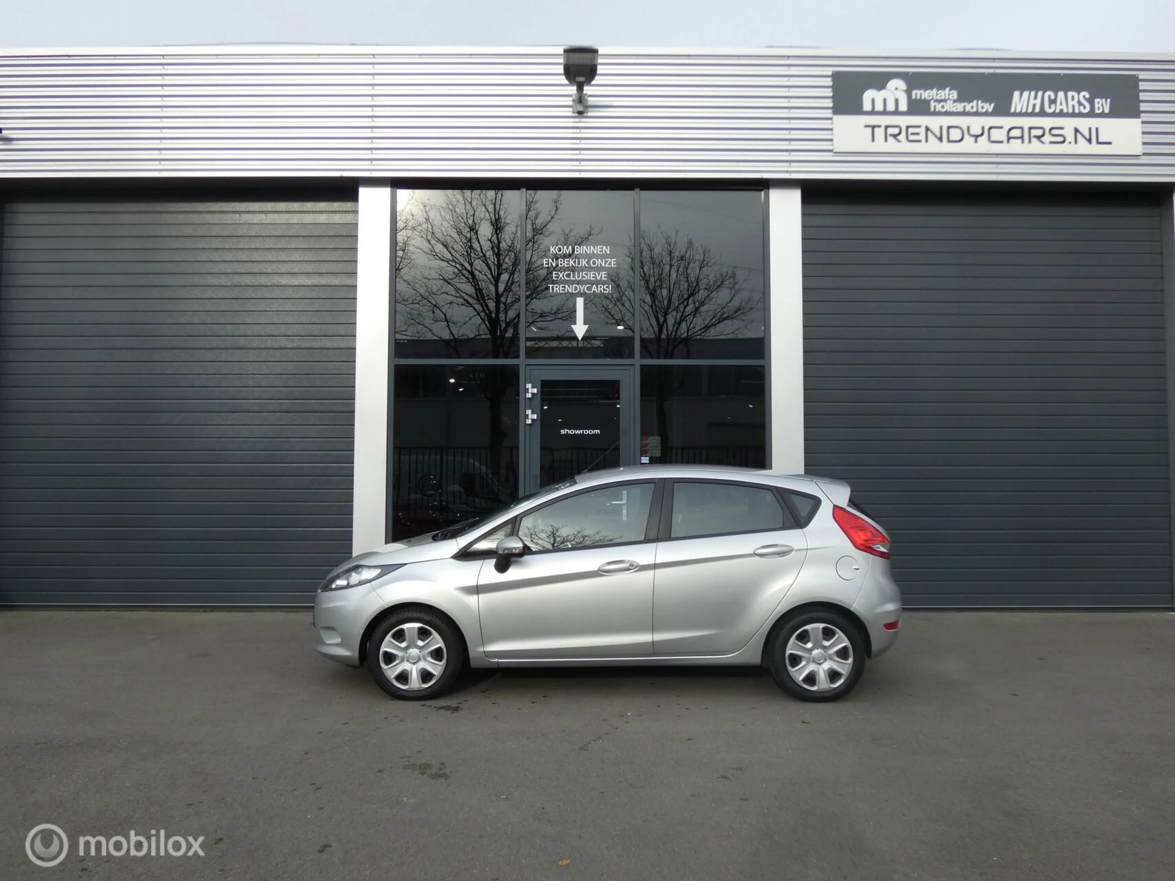 Hoofdafbeelding Ford Fiesta
