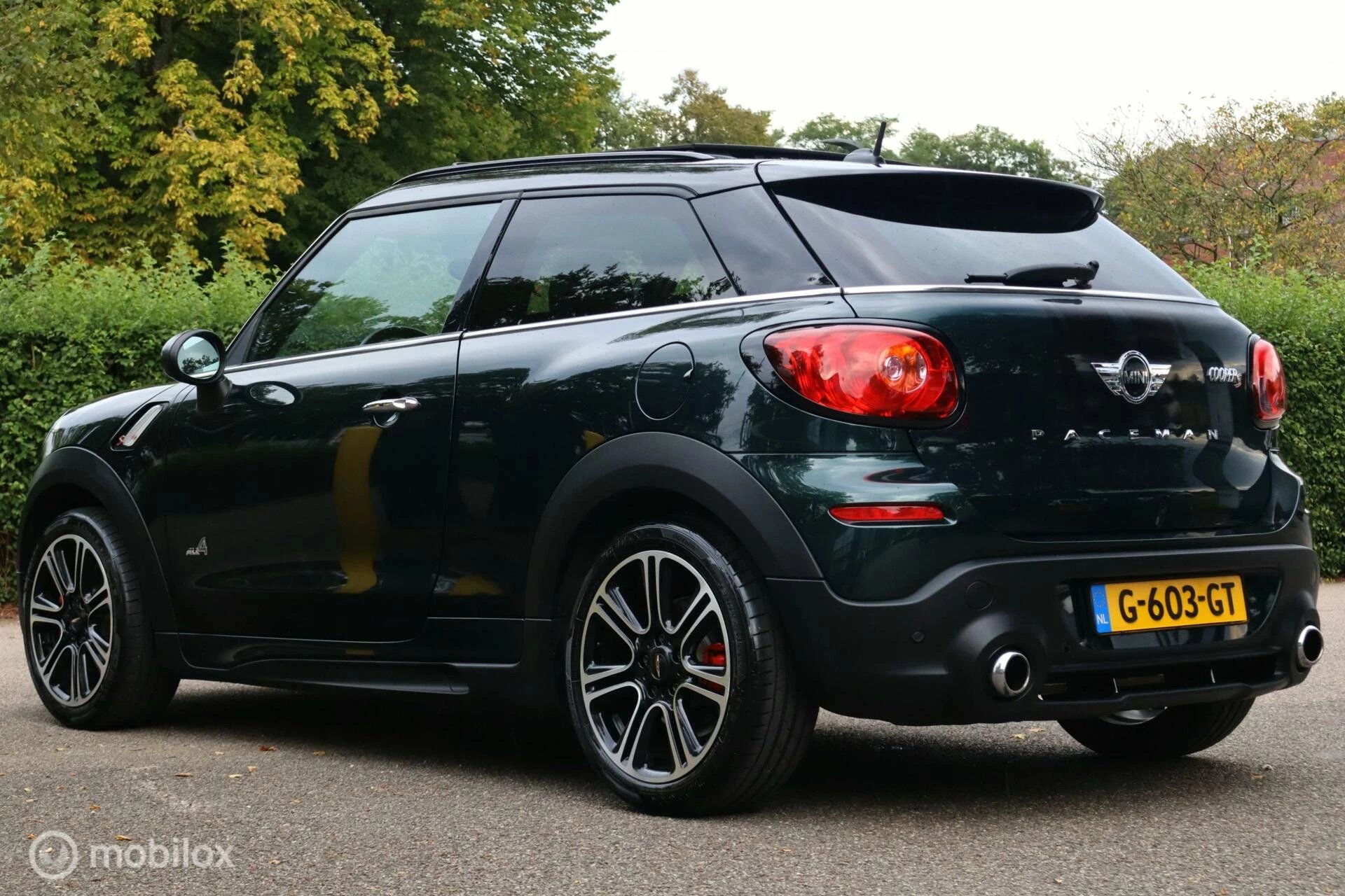 Hoofdafbeelding MINI Paceman