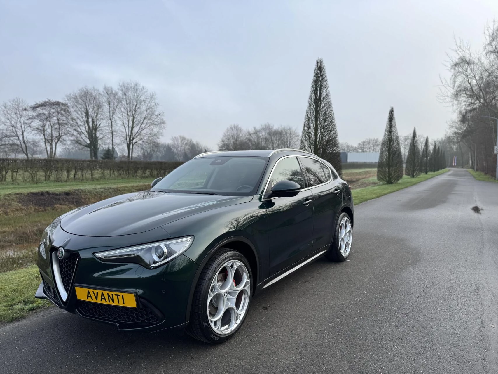 Hoofdafbeelding Alfa Romeo Stelvio